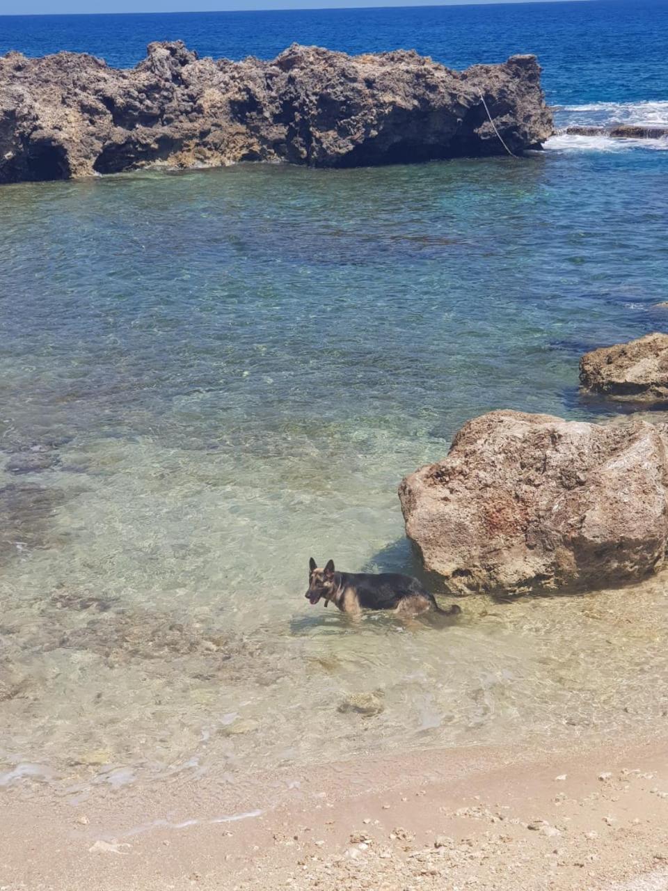 Forever Cottage Robins Bay Esterno foto